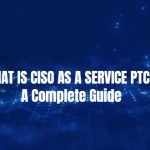 ciso as a service ptciso