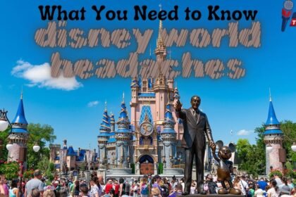 disney world headaches