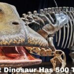 what dinosaur has 500 teeth