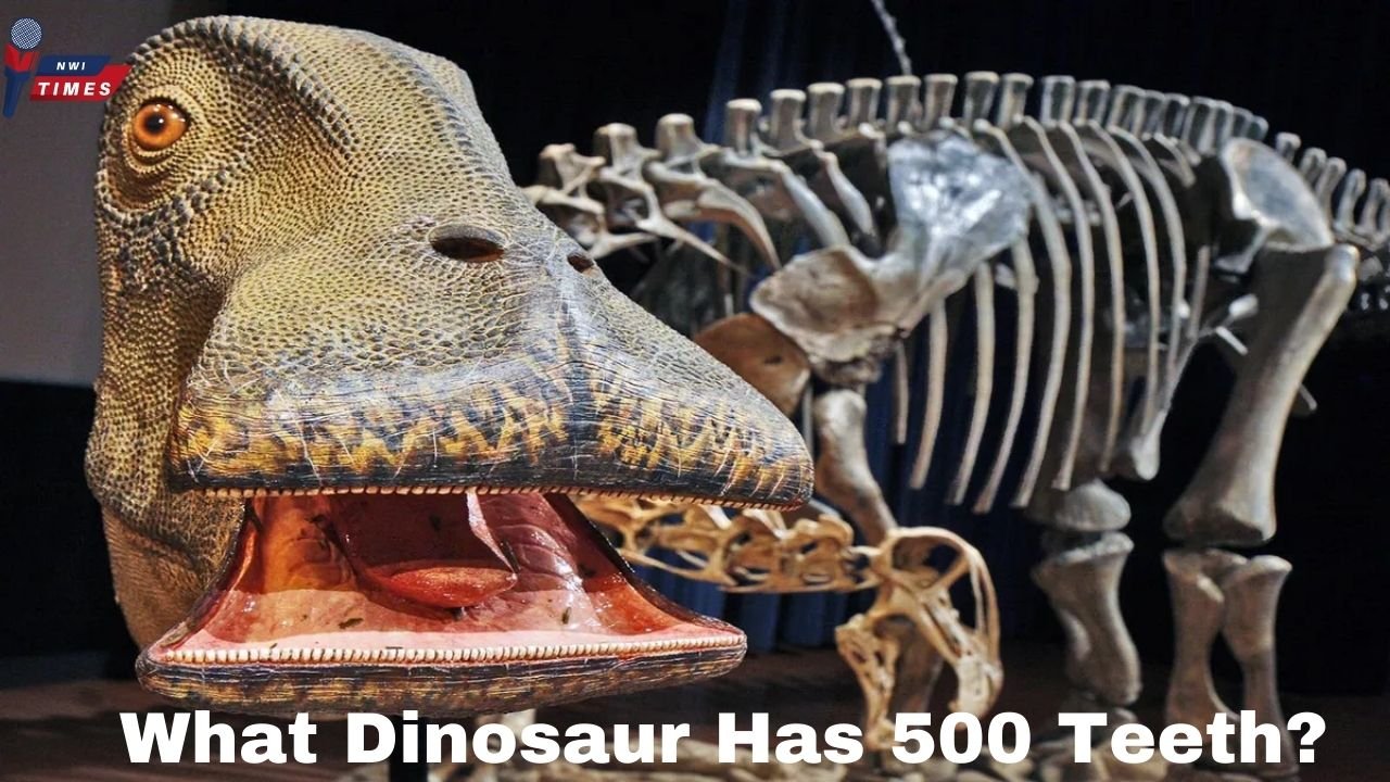 what dinosaur has 500 teeth