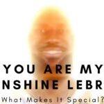 you are my sunshine lebron